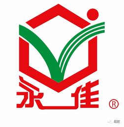 創(chuàng)意飛揚(yáng)，智造未來(lái)——石獅市首屆紙玩大賽圓滿落幕，國(guó)內(nèi)貿(mào)易代理企業(yè)彰顯創(chuàng)新力量